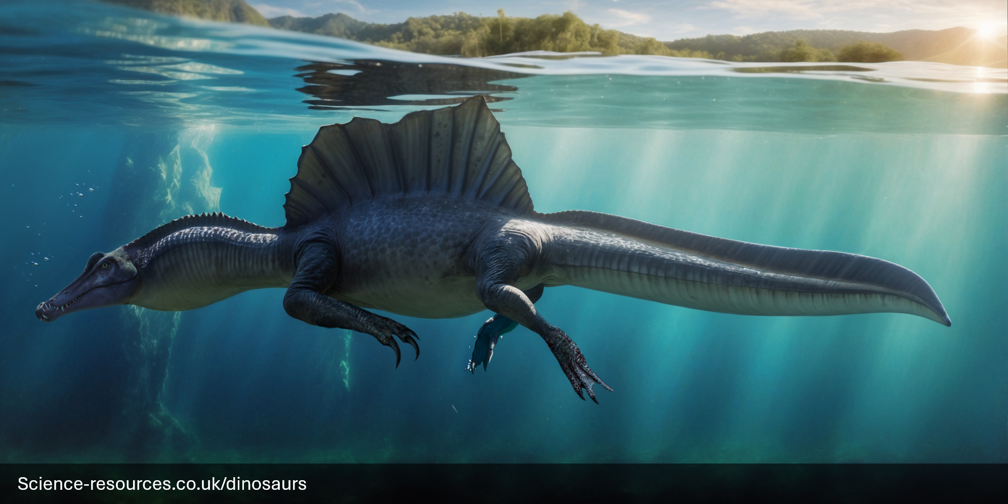 Spinosaurus anatomical features