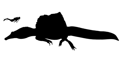 Spinosaurus size illustration