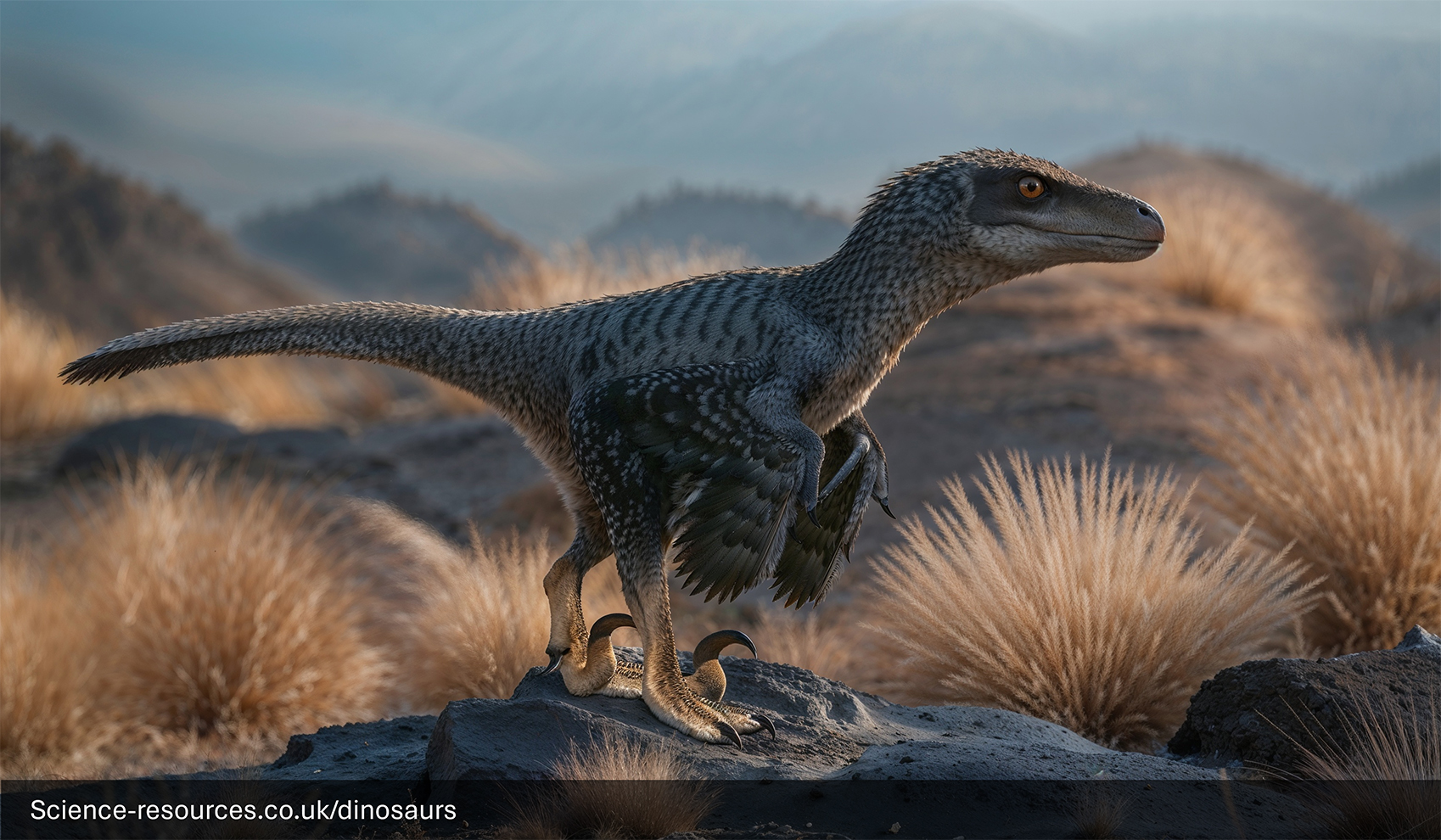 A 2024 / 2025 modern realistic rendering of a Velociraptor in a forest setting. The dinosaur is shown mid-roar, with its mouth open wide, exposing its sharp teeth. It’s surrounded by tall trees and the ground is covered with grass and ferns. Sunlight filters through the trees, casting an ethereal glow on the scene.