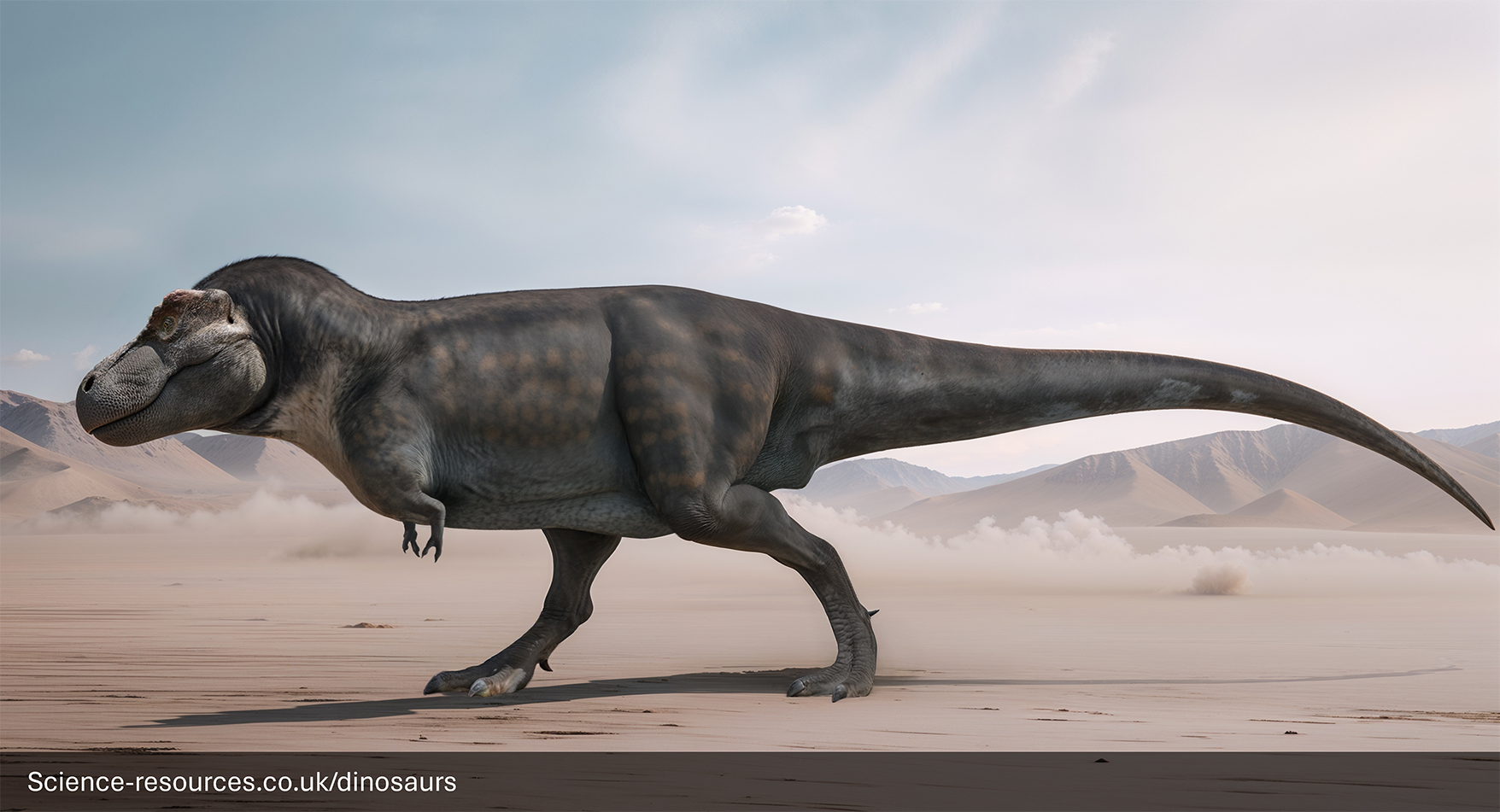 Unique characteristics of T-Rex