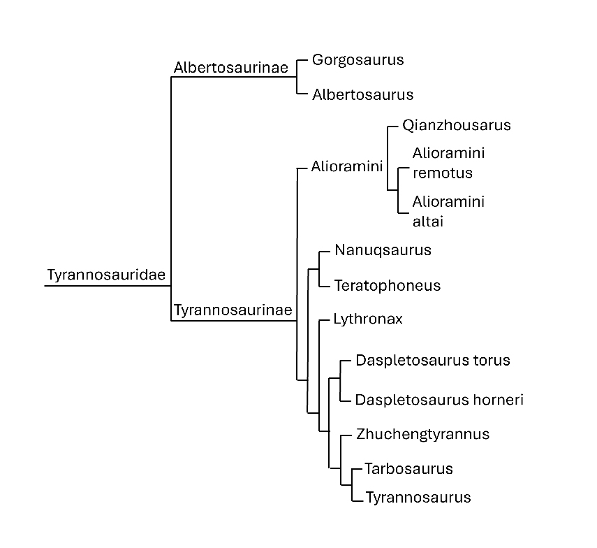 Simplified dinosaur family tree showing T-Rex